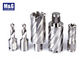 Ringförmiger Schneider Höhenflossenstations-, Höhenflossenstations-Kobalt u. Handbohrer mit ringförmigem Schneider-Doppeltem Weldon Shank (für Bohrung unter 12mm Löchern